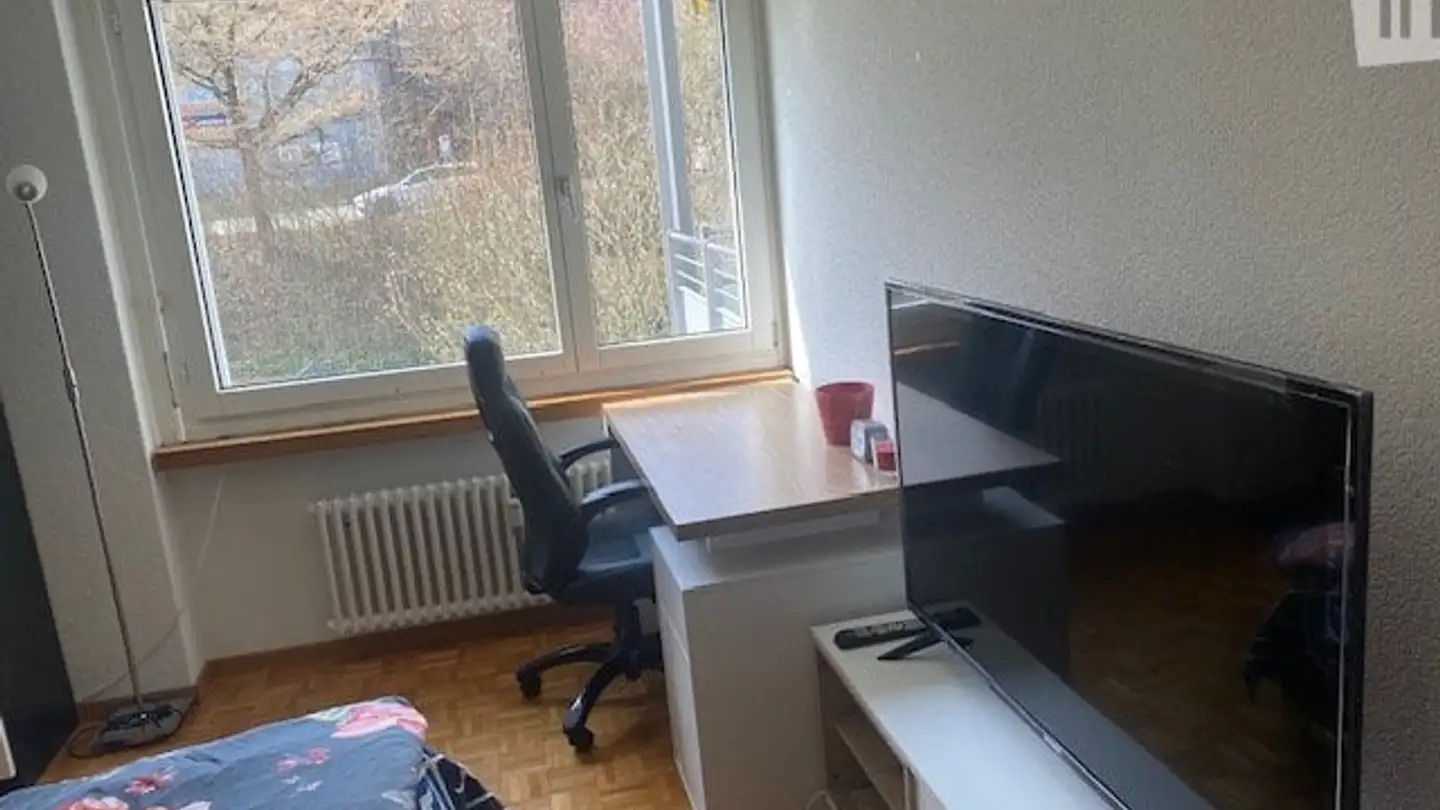 Chambre à louer - Rellstenstrasse, 8134 Adliswil - Photo 2