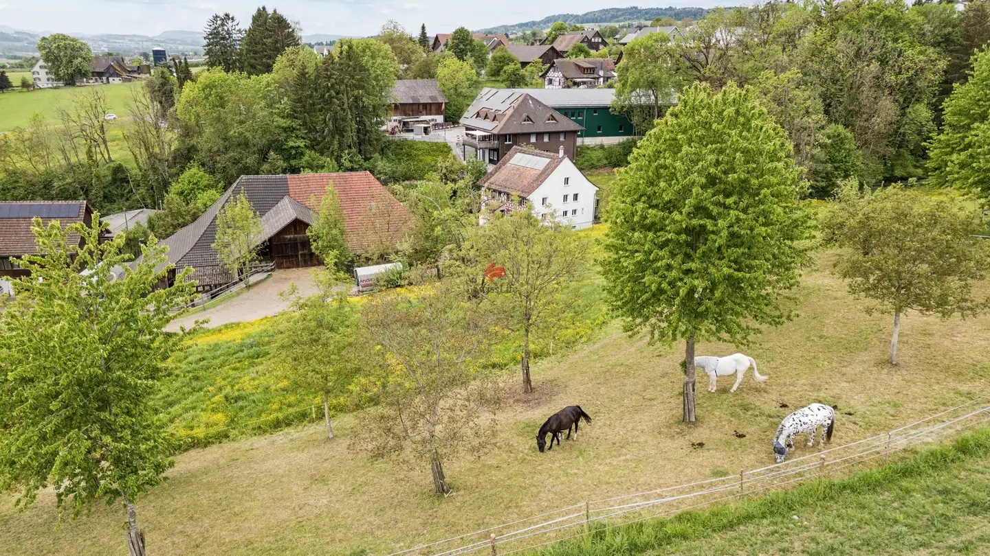 Single house for sale - Unterdorf, 8572 Guntershausen b. Berg - Photo 3