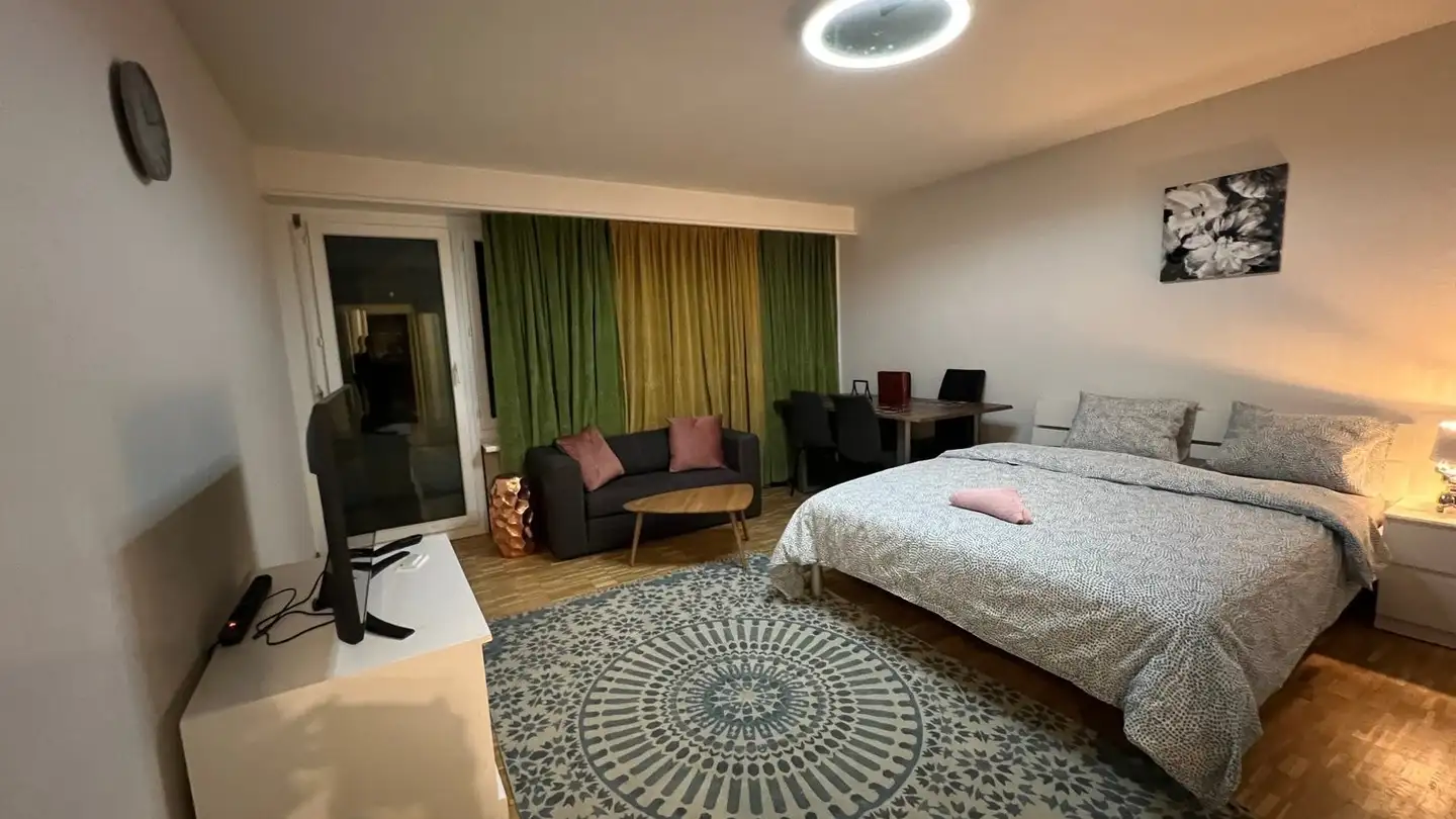 Furnished apartment for rent - Leepüntstrasse 18, 8600 Dübendorf - Photo 3