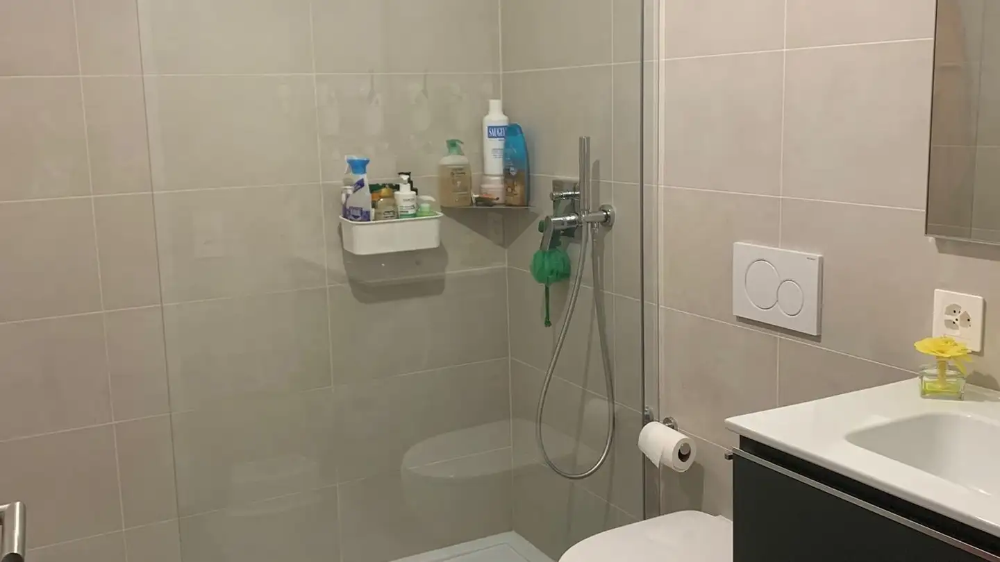 Appartamento in affitto - Ala Brüga 15, 6593 Cadenazzo - Photo 3