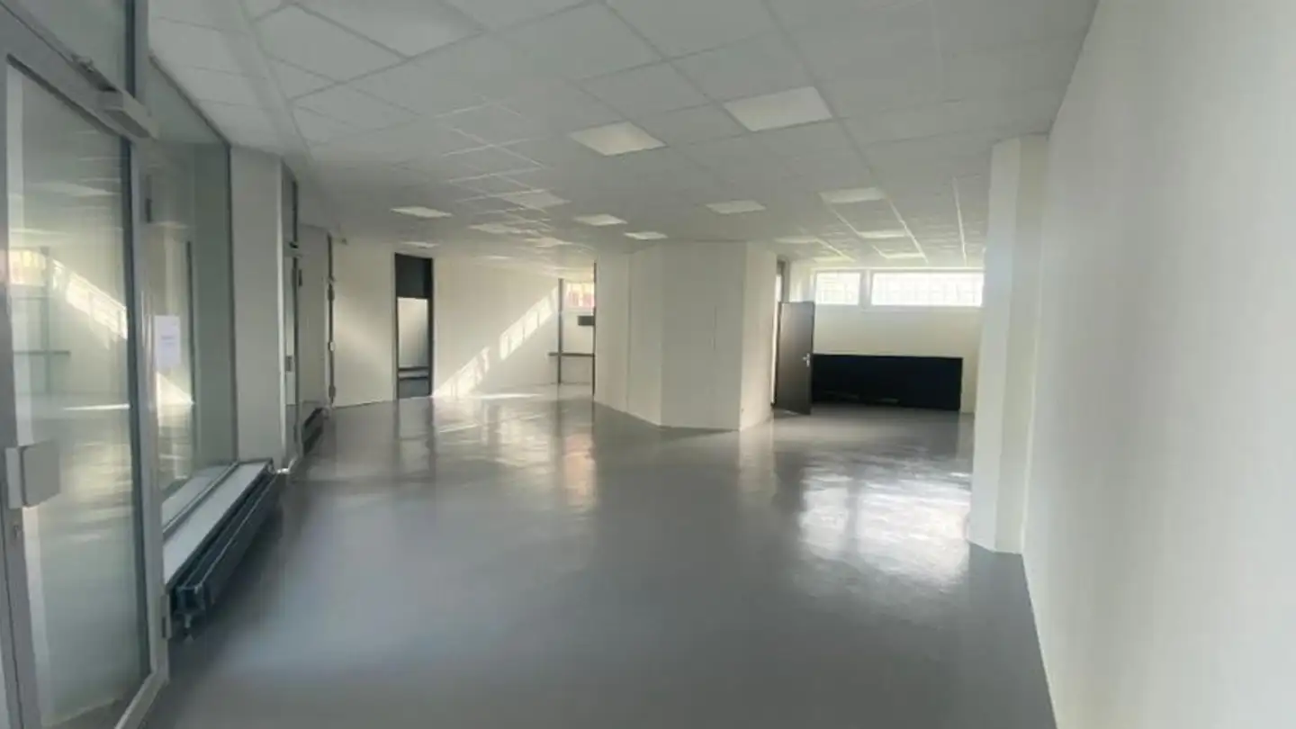 Negozio in affitto - Rue Jean-Antoine-Gautier 11, 1201 Genève - Foto 2