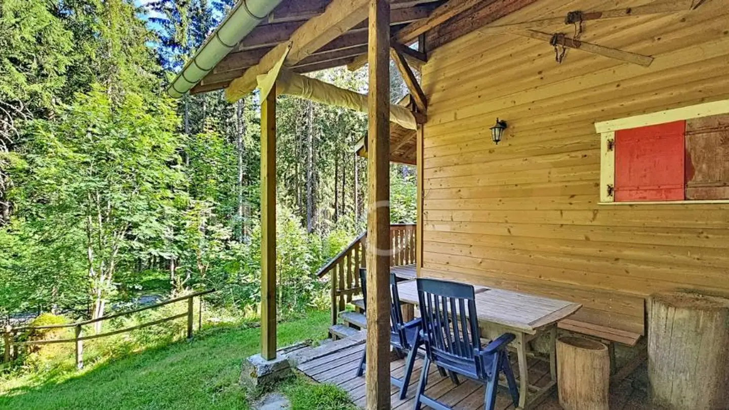 Chalet kaufen - Petit Mology 1115, 1619 Les Paccots - Foto 4