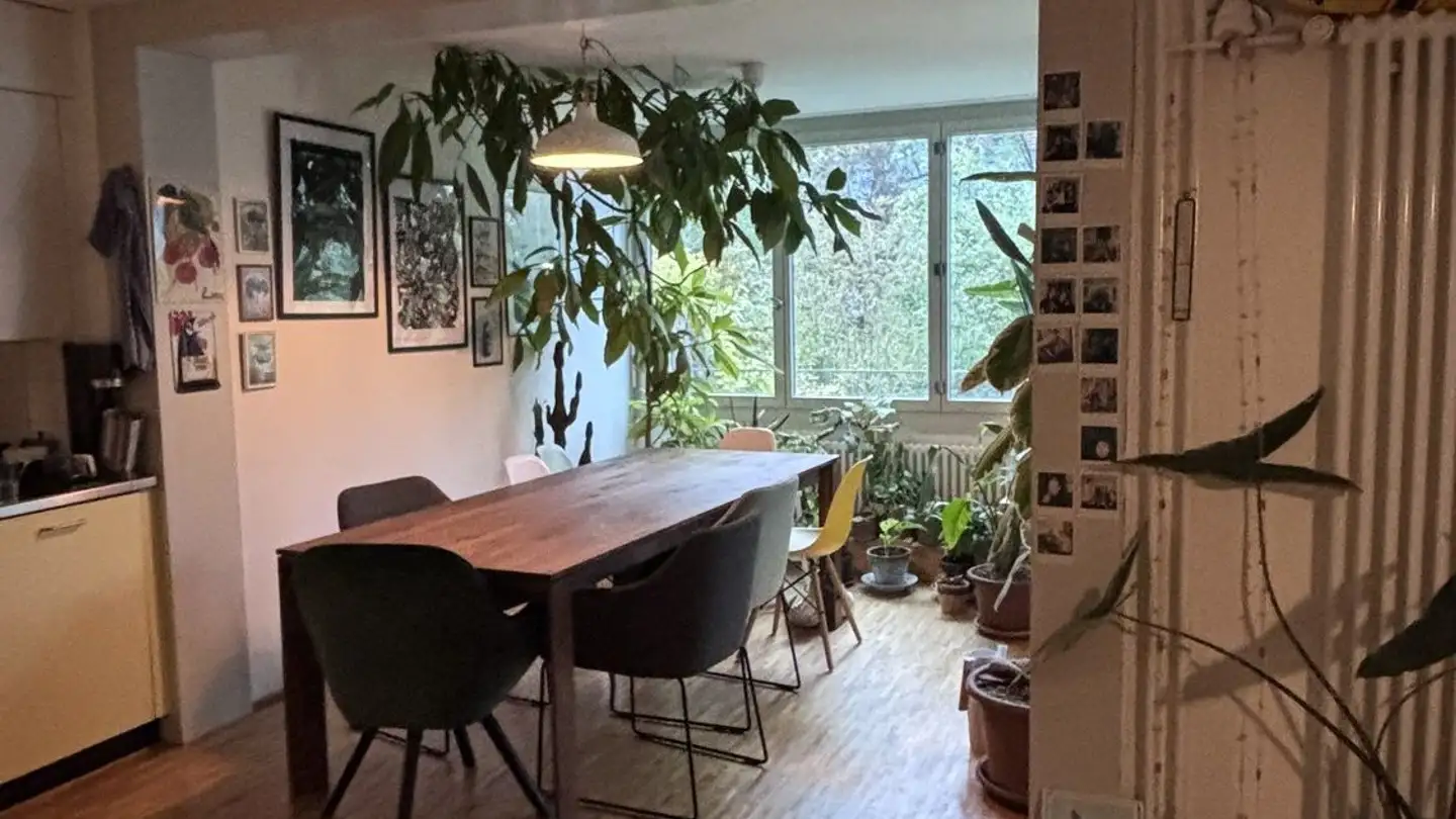 Casa singola in affitto - 8038 Zürich
