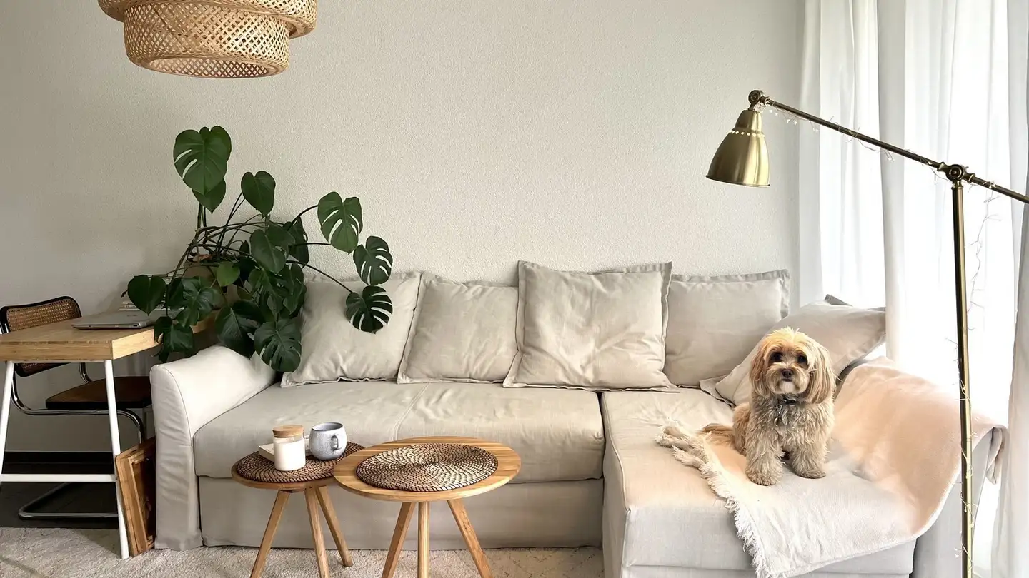 Wohnung mieten - 8055 Zürich