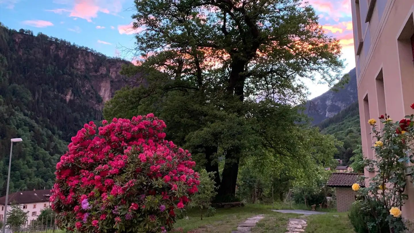Mehrfamilienhaus kaufen - 6760 Faido