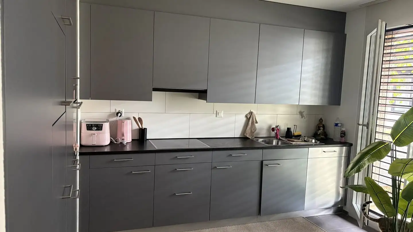 Appartement à louer - Ofenstrasse 42, 4123 Allschwil - Photo 4