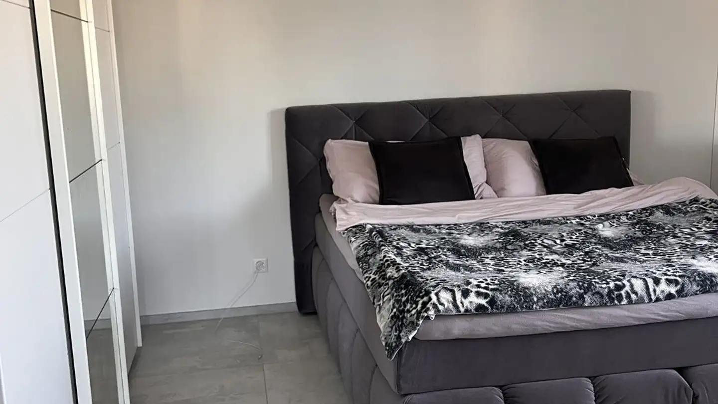 Appartamento in affitto - Mühlemattstrasse 2, 5613 Hilfikon - Foto 4