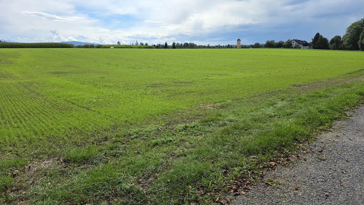 Bauland kaufen - 8599 Salmsach - Foto 4