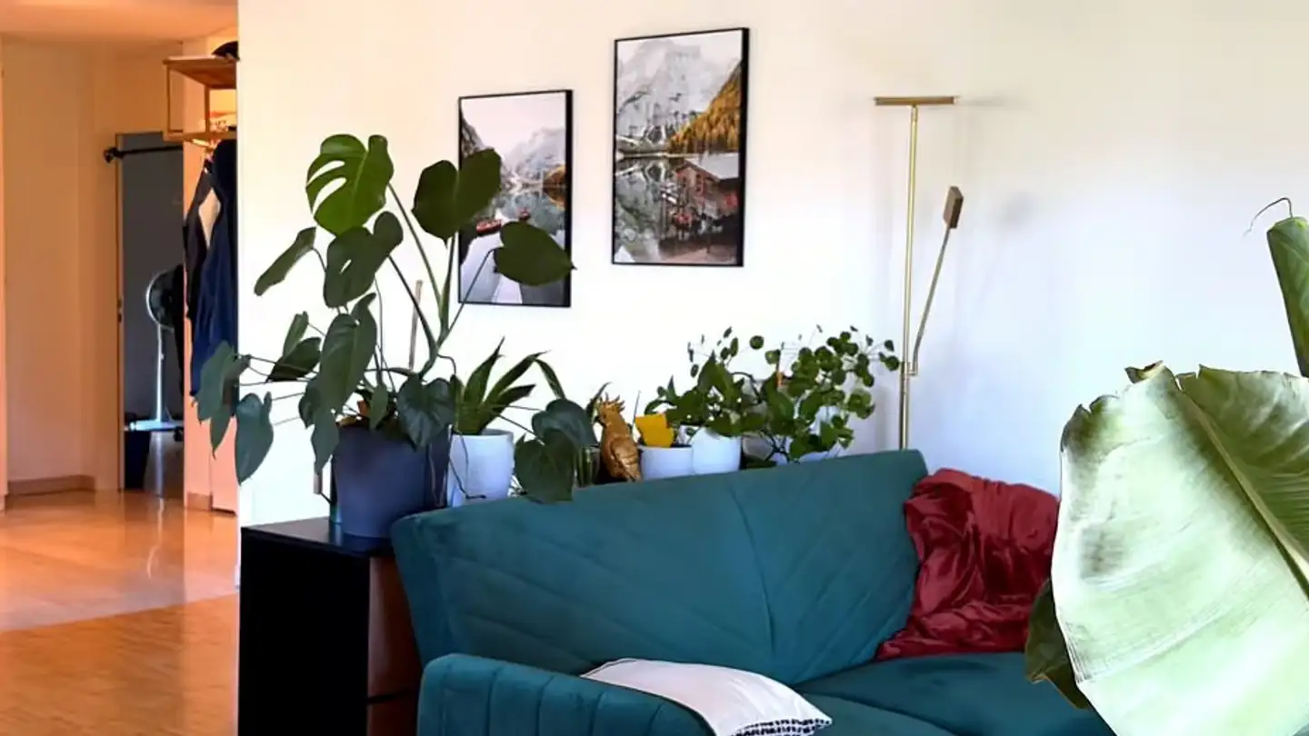 Appartamento in affitto - Rauchensteinstrasse 9, 5000 Aarau - Foto 3