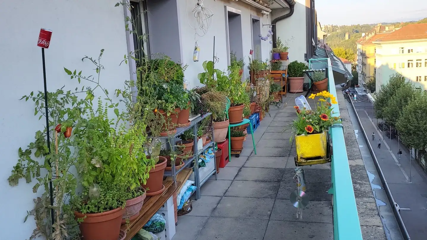 Chambre à louer - 1700 Fribourg - Photo 3