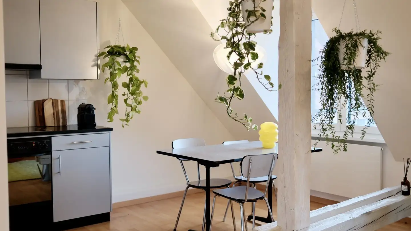 Wohnung mieten - Pflanzschulstrasse, 8004 Zürich - Foto 4