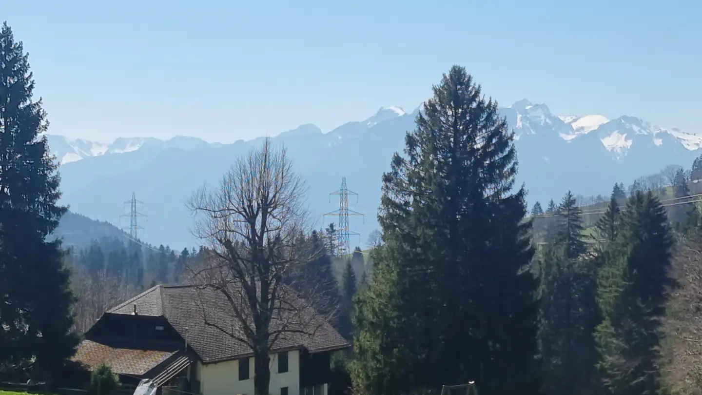 Einfamilienhaus kaufen - 1832 Villard-sur-Chamby