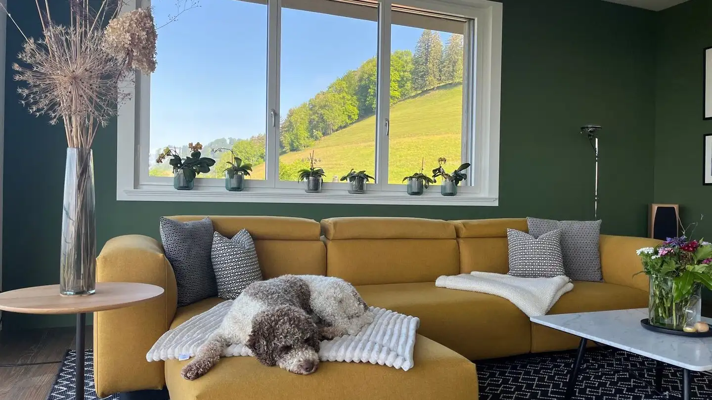 Einfamilienhaus kaufen - Obermatten 12, 8735 Rüeterswil - Foto 4