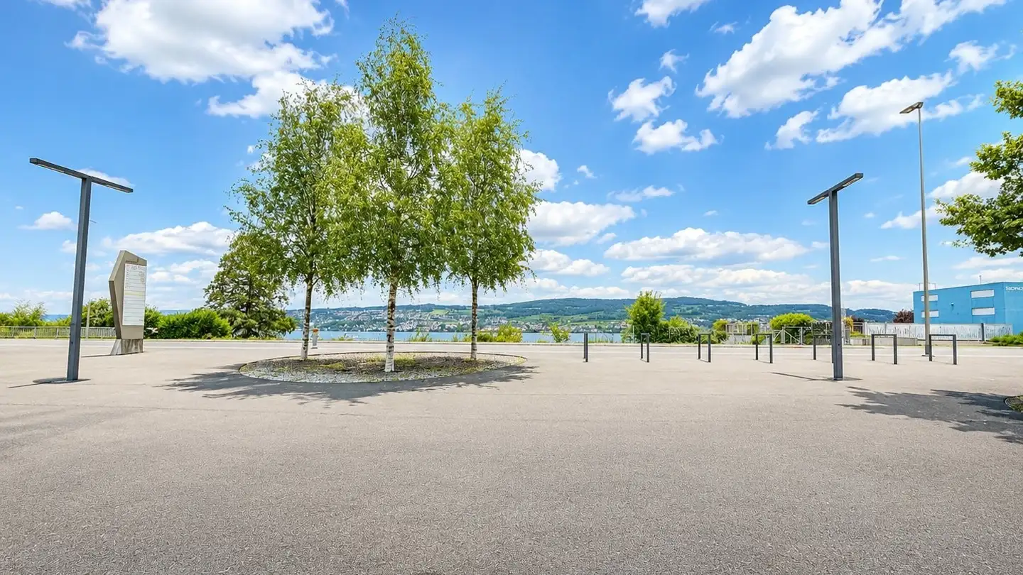 Commerciale in affitto - Seestrasse 250, 8810 Horgen - Foto 4