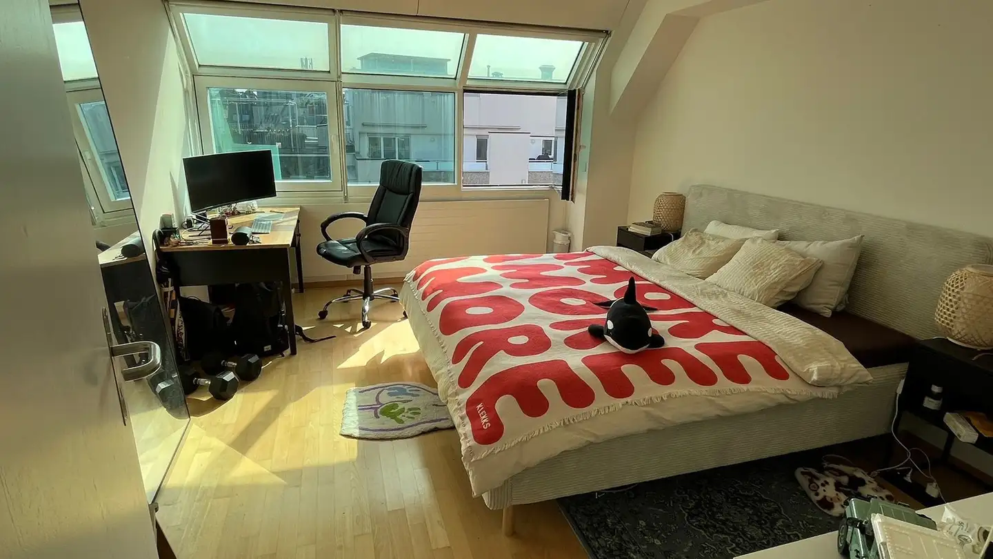 Chambre à louer - 8001 Zürich - Photo 3