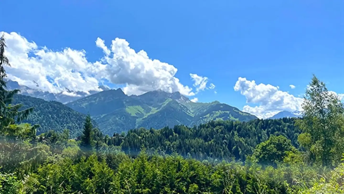 Chalet in vendita - 1884 Villars-sur-Ollon - Photo 4