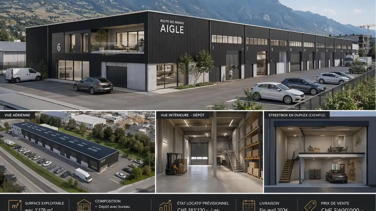 Proprietà industriale in vendita - 1860 Aigle