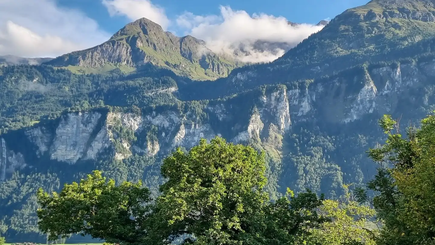 Wohnung mieten - Kilchstalden, 3856 Brienzwiler