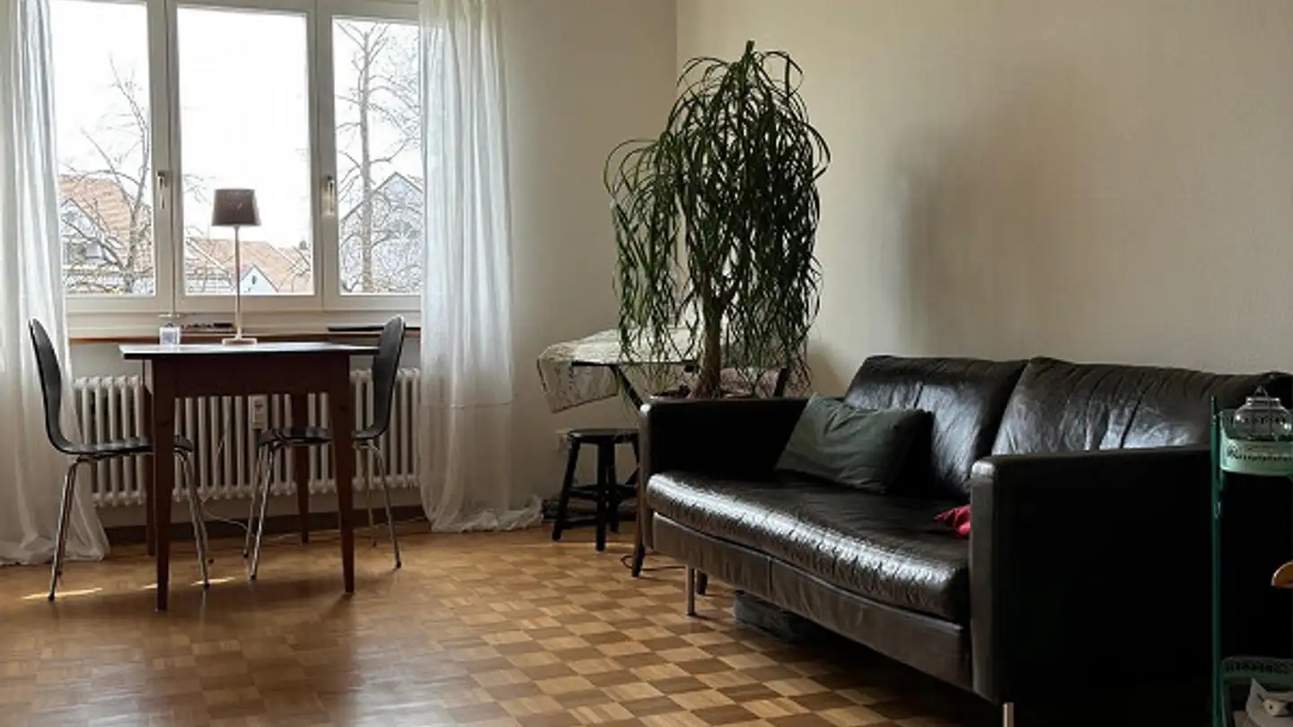 Appartamento in affitto - Carl-Spitteler-Strasse, 8053 Zürich