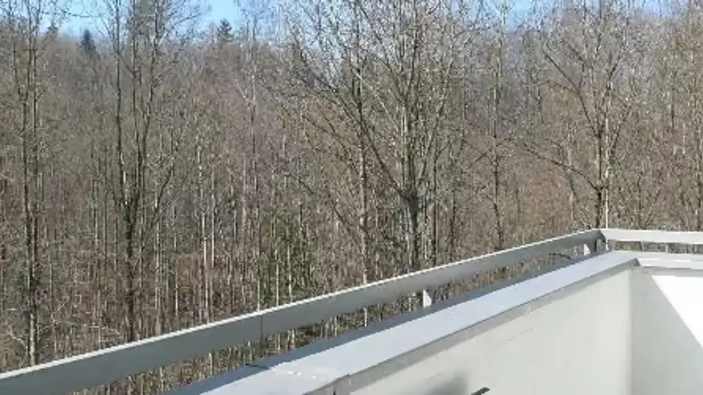 Appartamento in affitto - Im Hasenbart 9, 8125 Zollikerberg