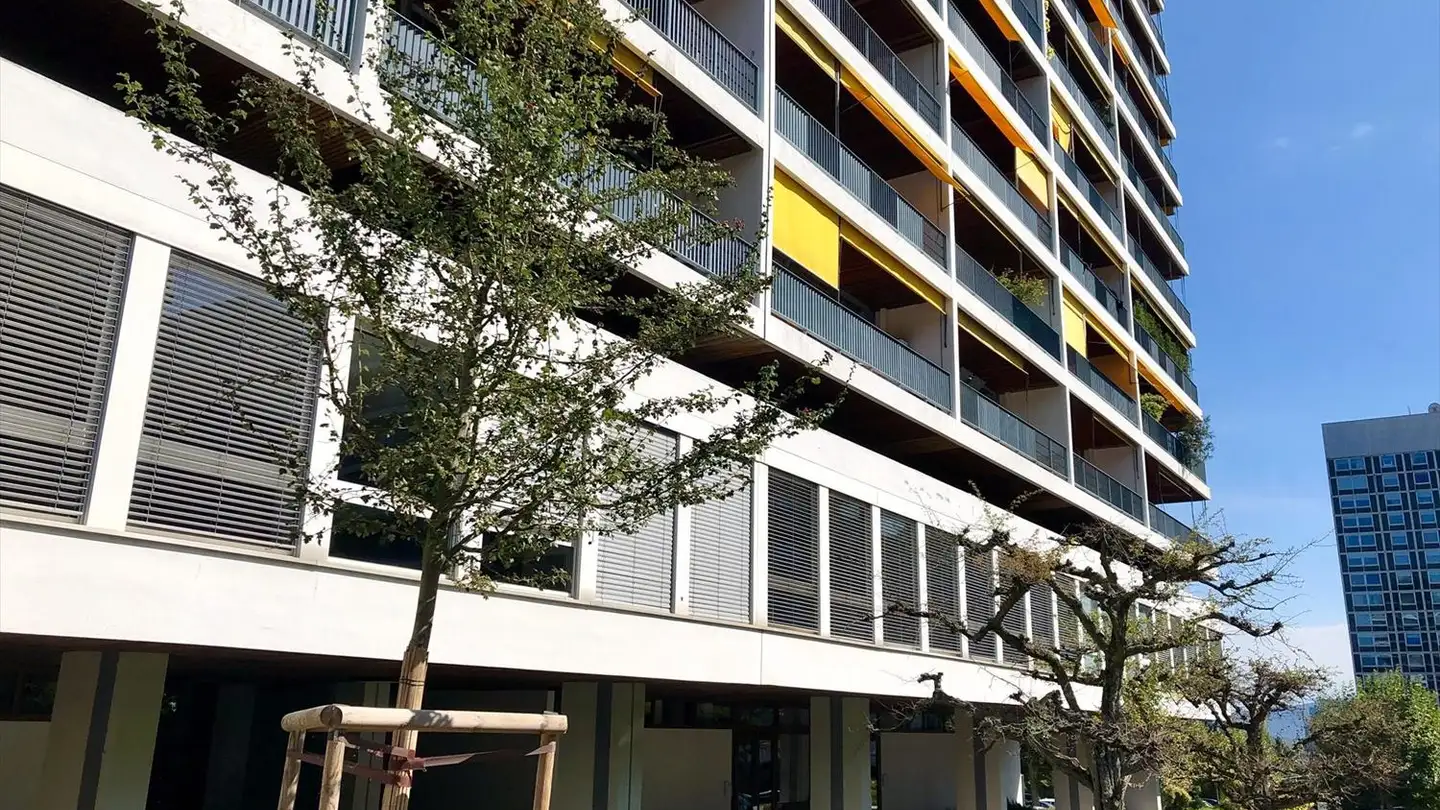 Appartamento in affitto - Avenue De-Budé 6, 1202 Genève - Foto 2