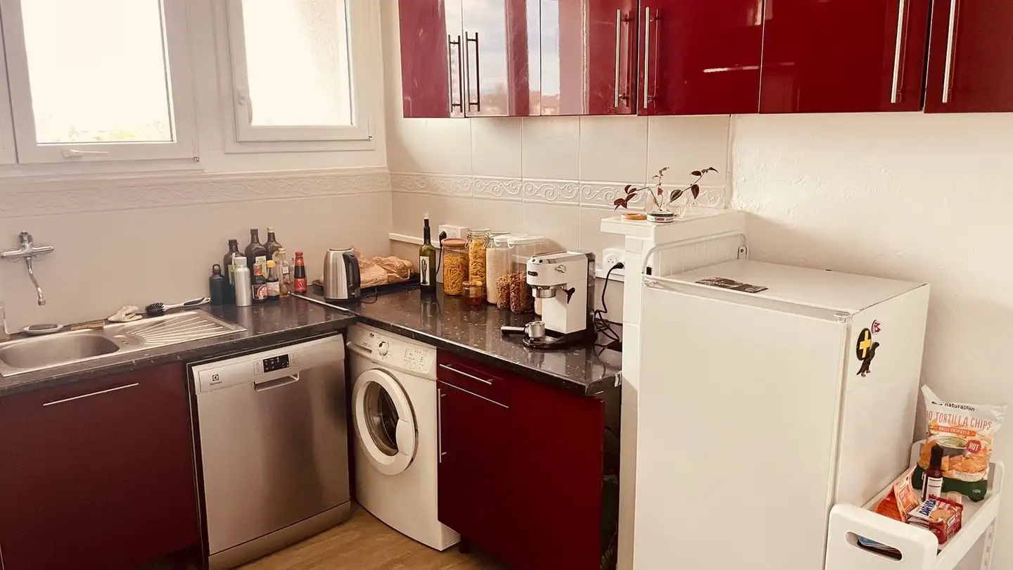 Single room for rent - 1207 Genève - Photo 2