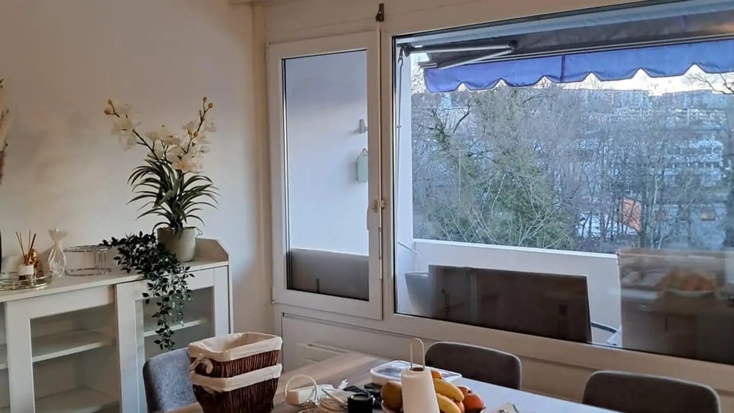 Appartamento in affitto - Chemin Du Petit-Flon 52, 1018 Lausanne