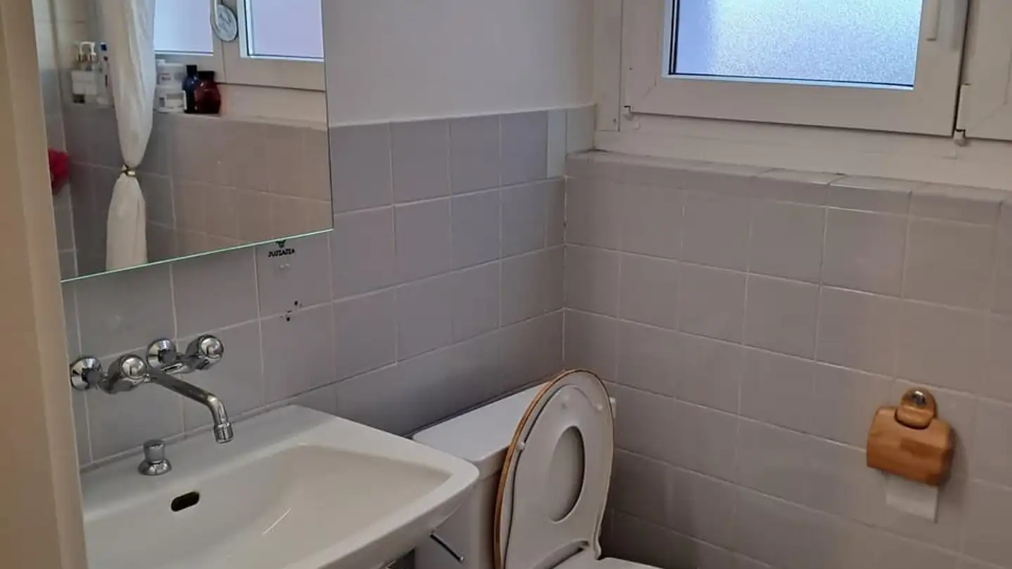 Appartamento in affitto - Chemin Du Petit-Flon 52, 1018 Lausanne - Foto 3