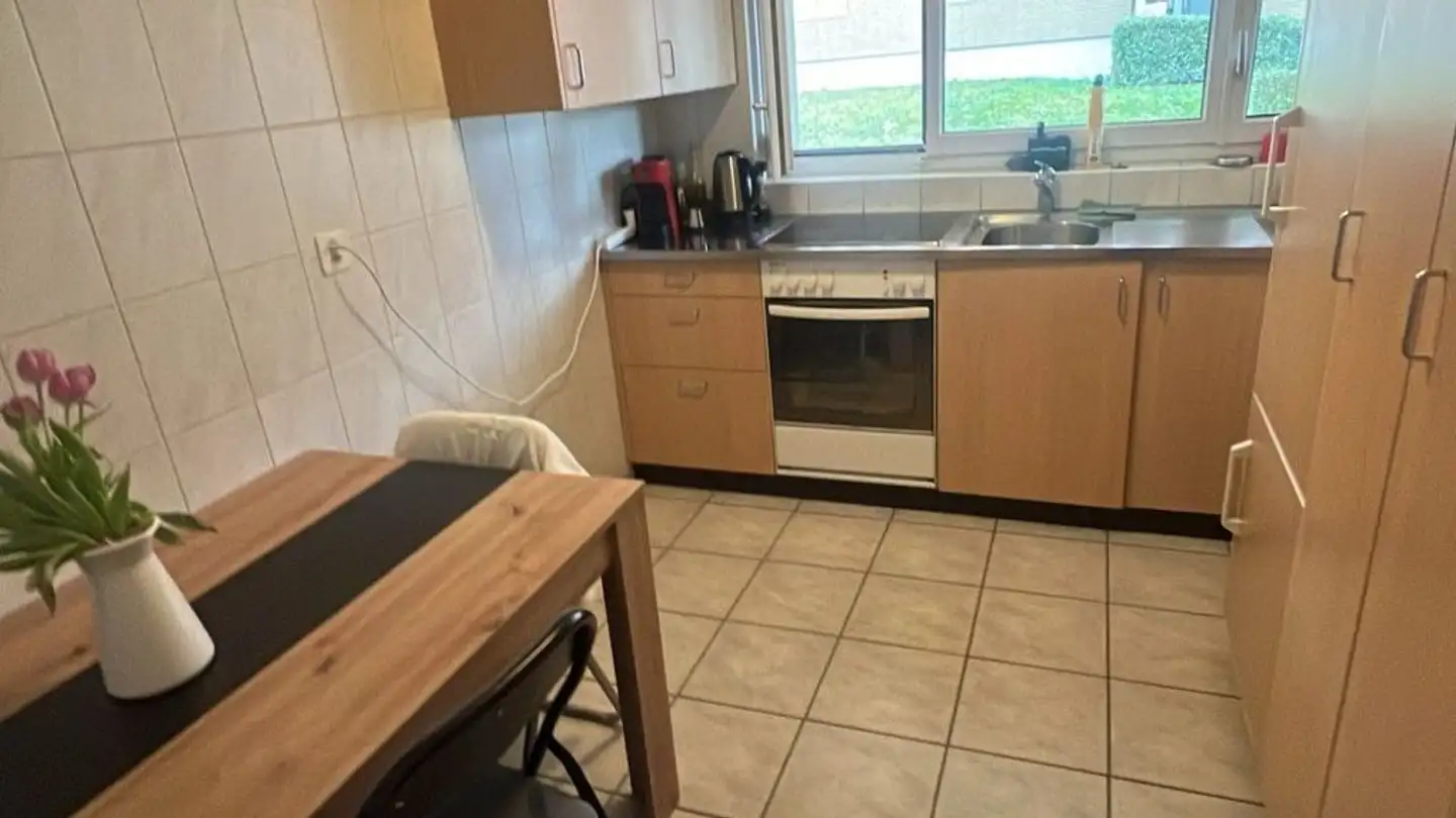 Appartement à louer - Plattenhofweg 9, 5736 Burg AG - Photo 3