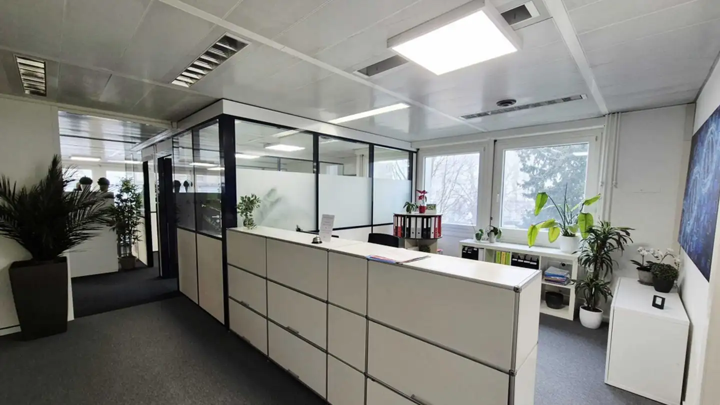 Gewerbe mieten - Rue Saint-Pierre / St. Peter-Gasse 18a, 1700 Fribourg - Foto 4