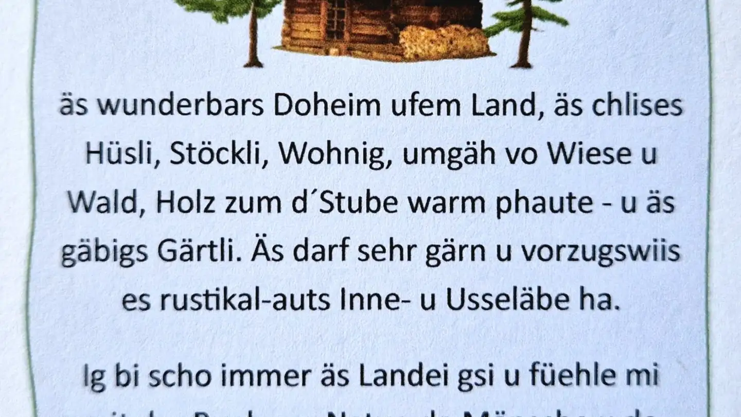 Appartamento in affitto - 3400 Burgdorf