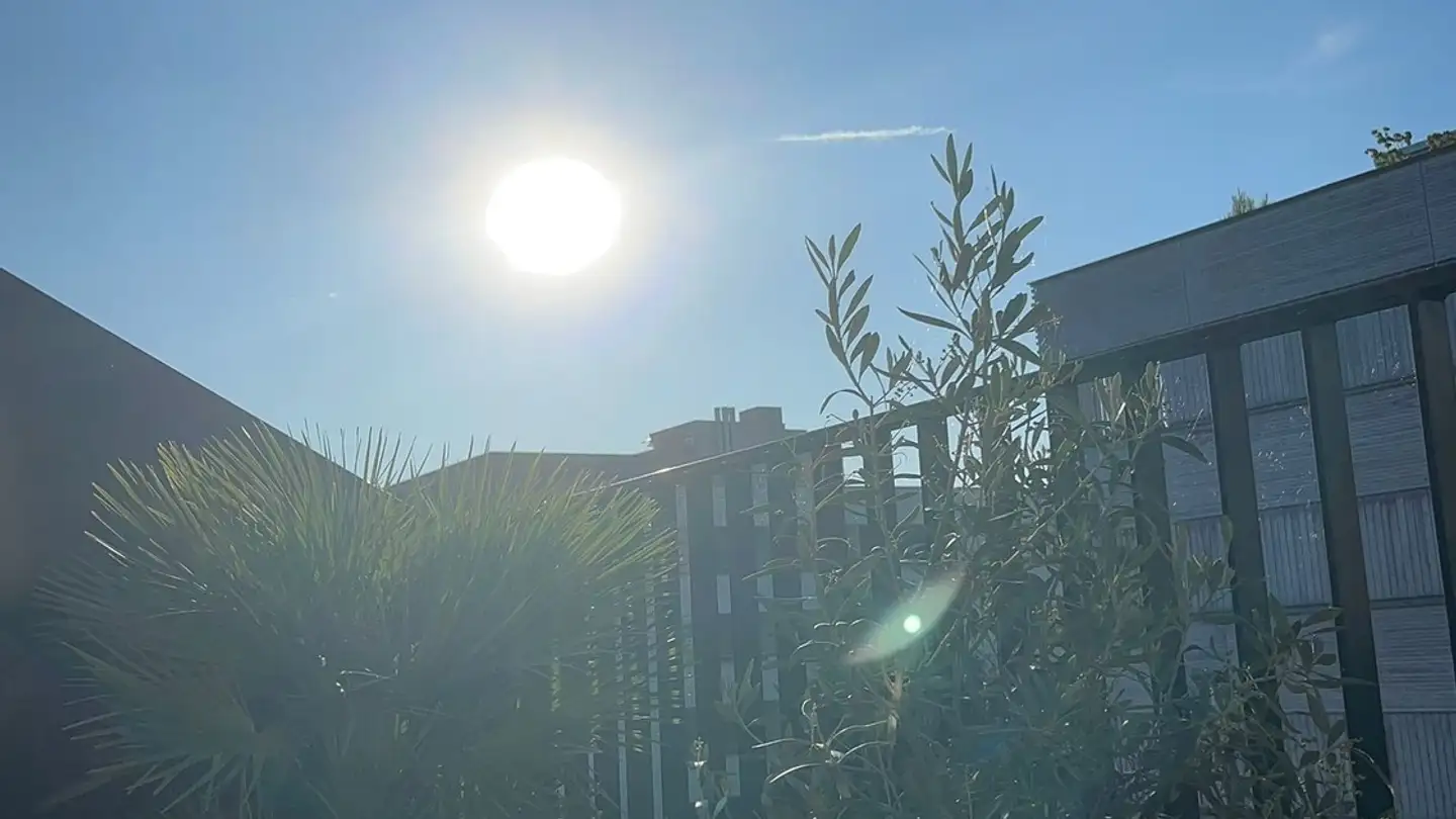 Wohnung mieten - 8404 Winterthur - Foto 2