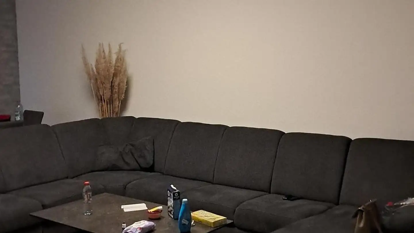 Appartamento in affitto - Avenue De Longemalle 20, 1020 Renens VD - Foto 2