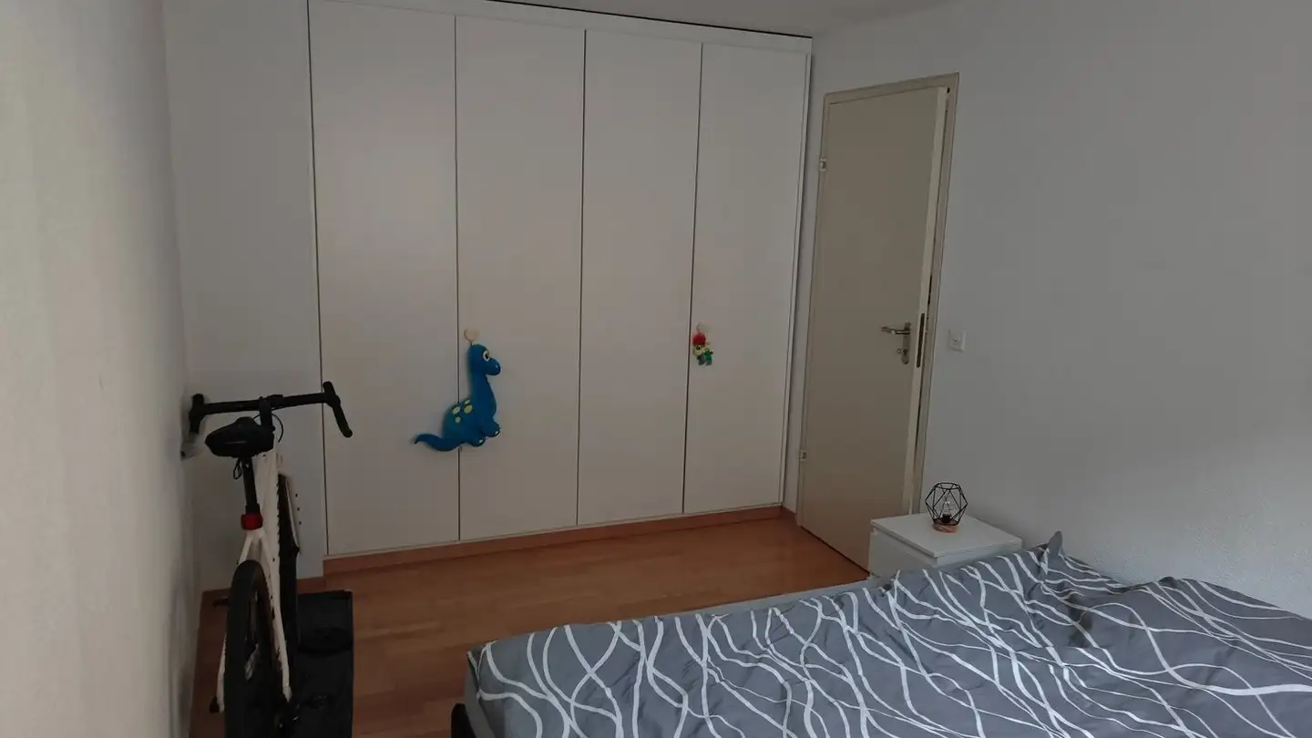Appartamento in affitto - Seebodenstrasse, 6403 Küssnacht am Rigi - Foto 4