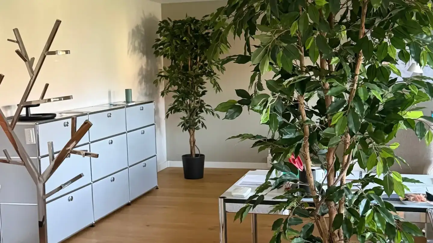 Semi-detached house for rent - Strättlighügel 42, 3645 Gwatt (Thun) - Photo 4
