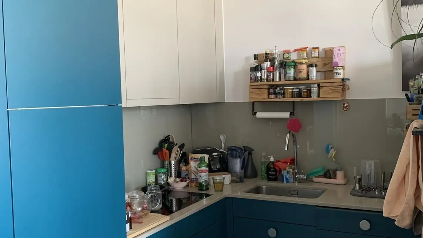 Apartment for rent - Brandstrasse 1, 8952 Schlieren - Photo 3