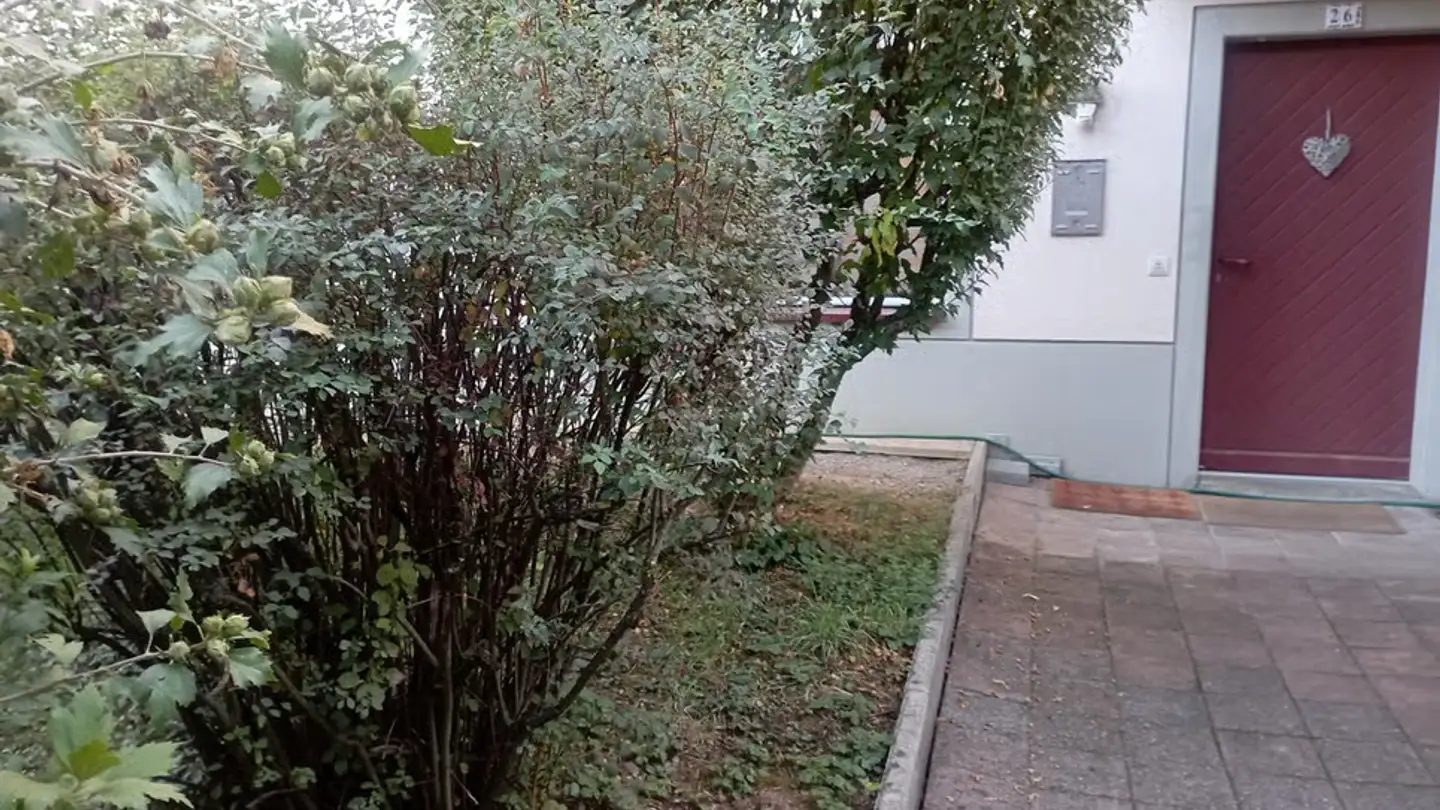 Apartment for rent - 1233 Bernex - Photo 2