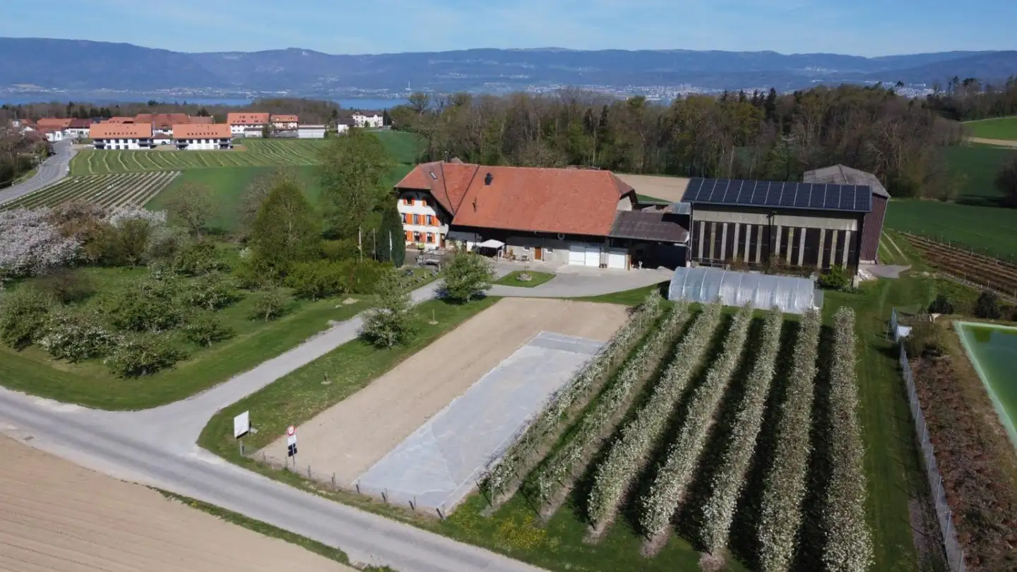 Maisonette mieten - Les Chandines 7, 1567 Delley - Foto 2