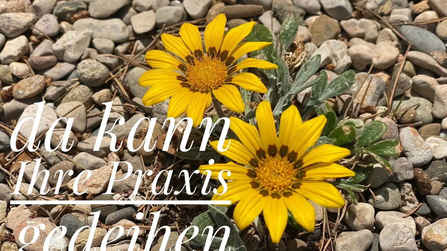 Commercial for rent - Rotfarbstrasse 2, 4800 Zofingen