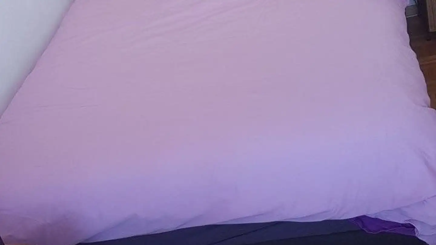 Chambre à louer - 1217 Meyrin