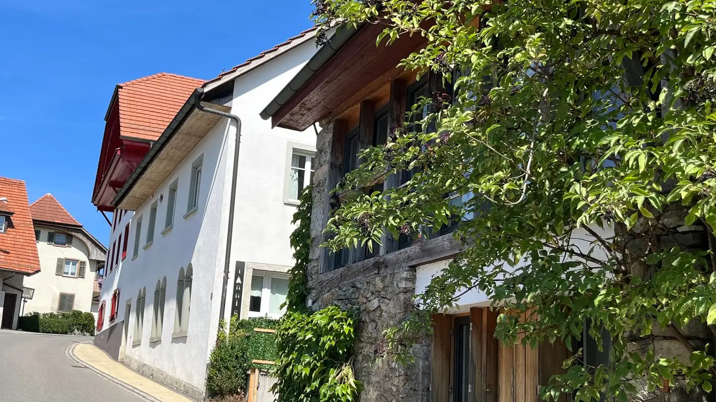 Appartamento in vendita - Hasenbergstrasse 6, 5454 Bellikon - Foto 4