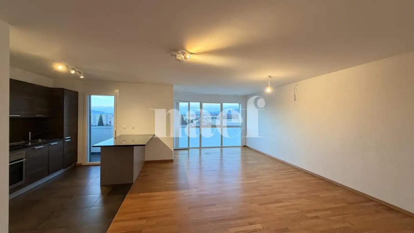 Appartamento in affitto - Chemin Falconnier 9, 1260 Nyon