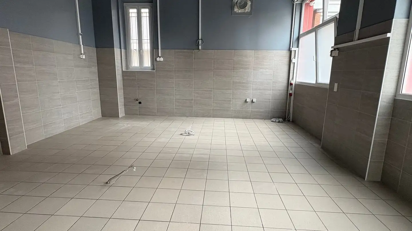 Immeuble industriel à louer - Via Carlo Maderno 24, 6900 Lugano - Photo 3