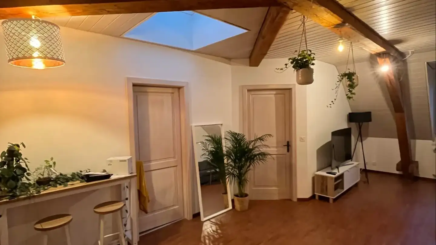 Appartement à louer - Avenue Mon-Repos, 1005 Lausanne - Photo 4