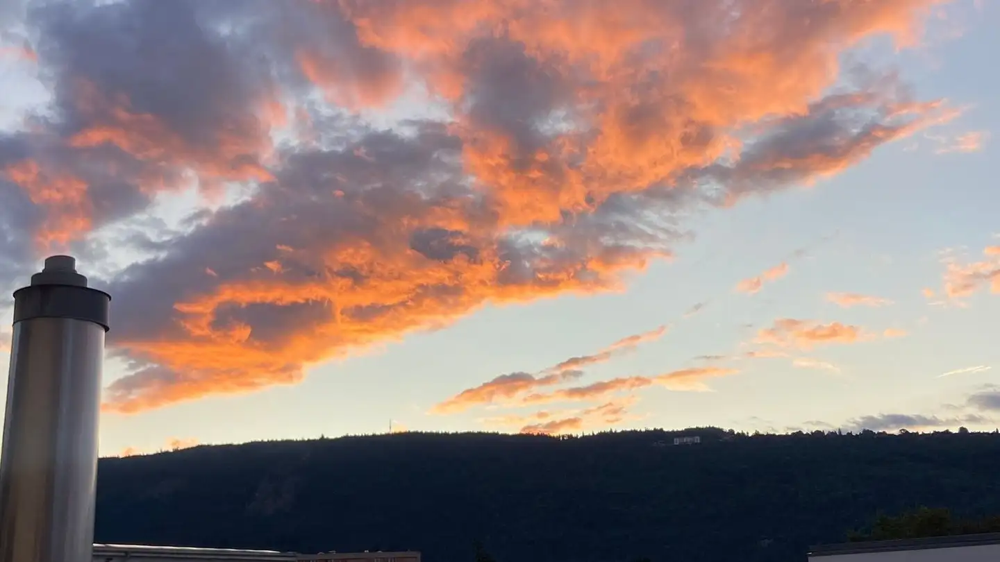 Apartment for rent - Hauptstrasse 137, 2560 Nidau - Photo 3