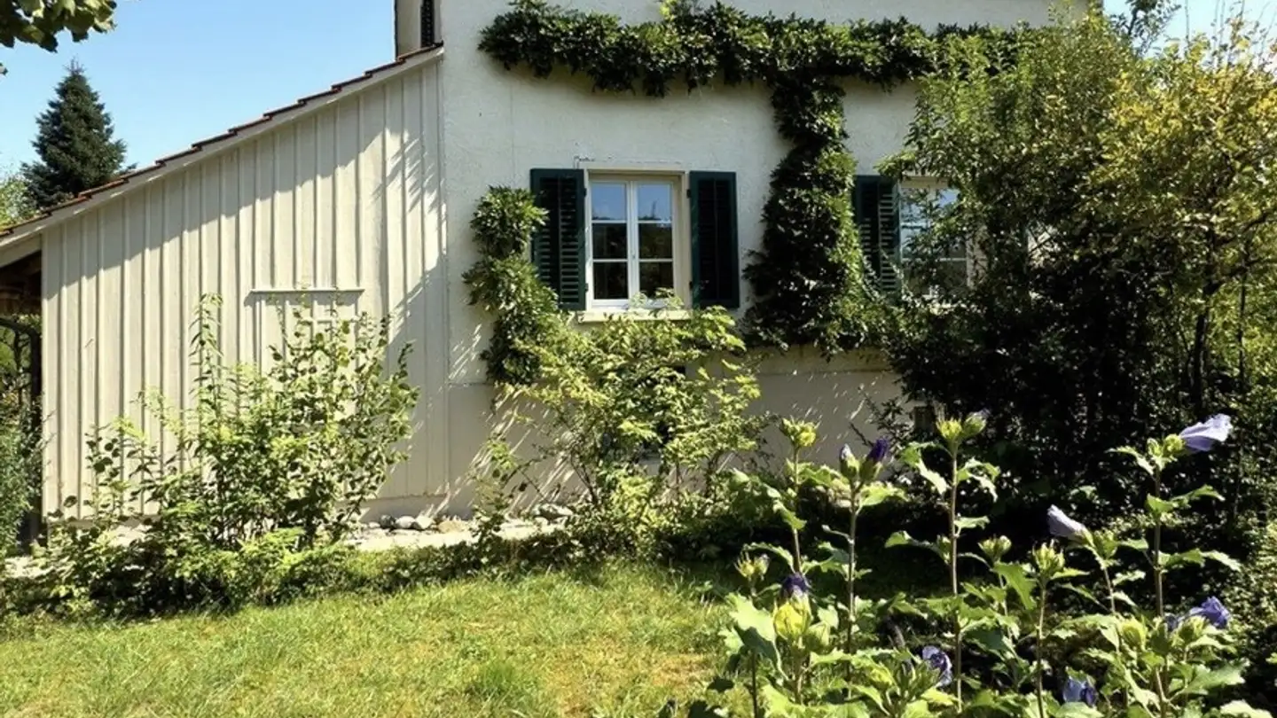 Stanza singola in affitto - 8953 Dietikon - Photo 2