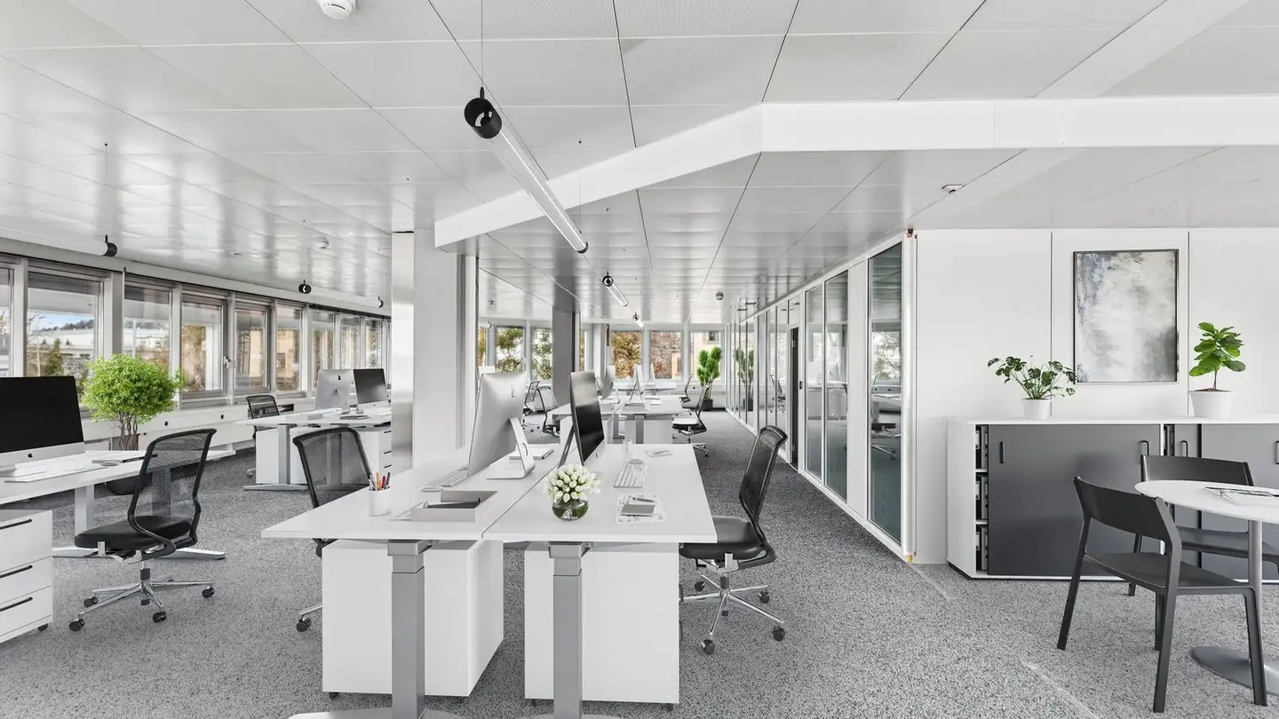 Office space for rent - Spinnereistrasse 8, 9008 St. Gallen - Photo 3