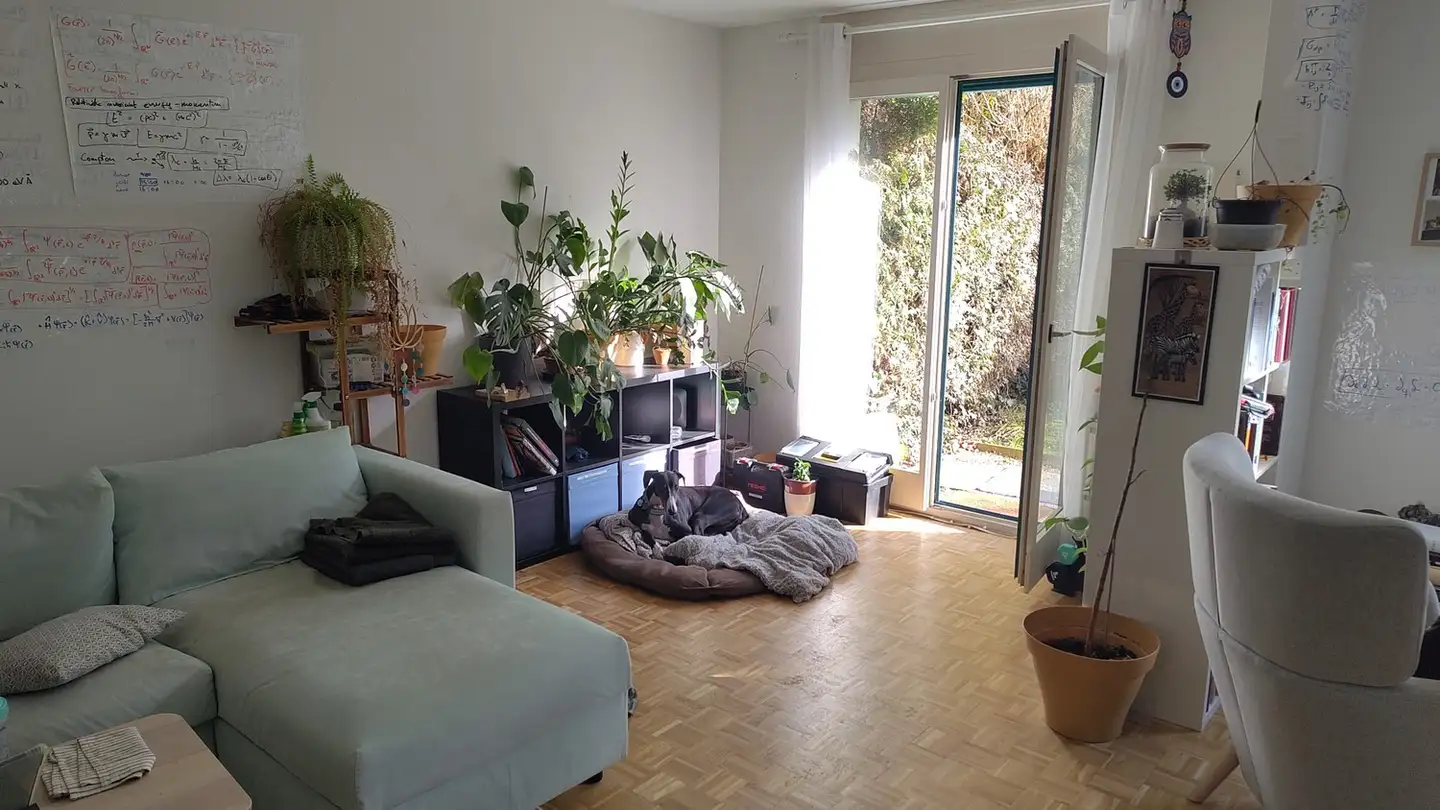 Wohnung mieten - 1203 Genève