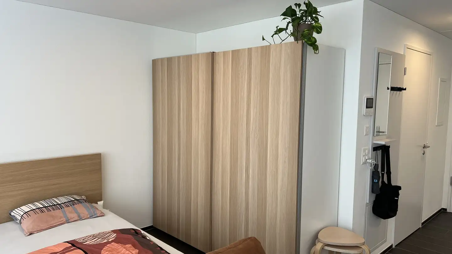 Appartement à louer - Jungstrasse 6, 8050 Zürich - Photo 3