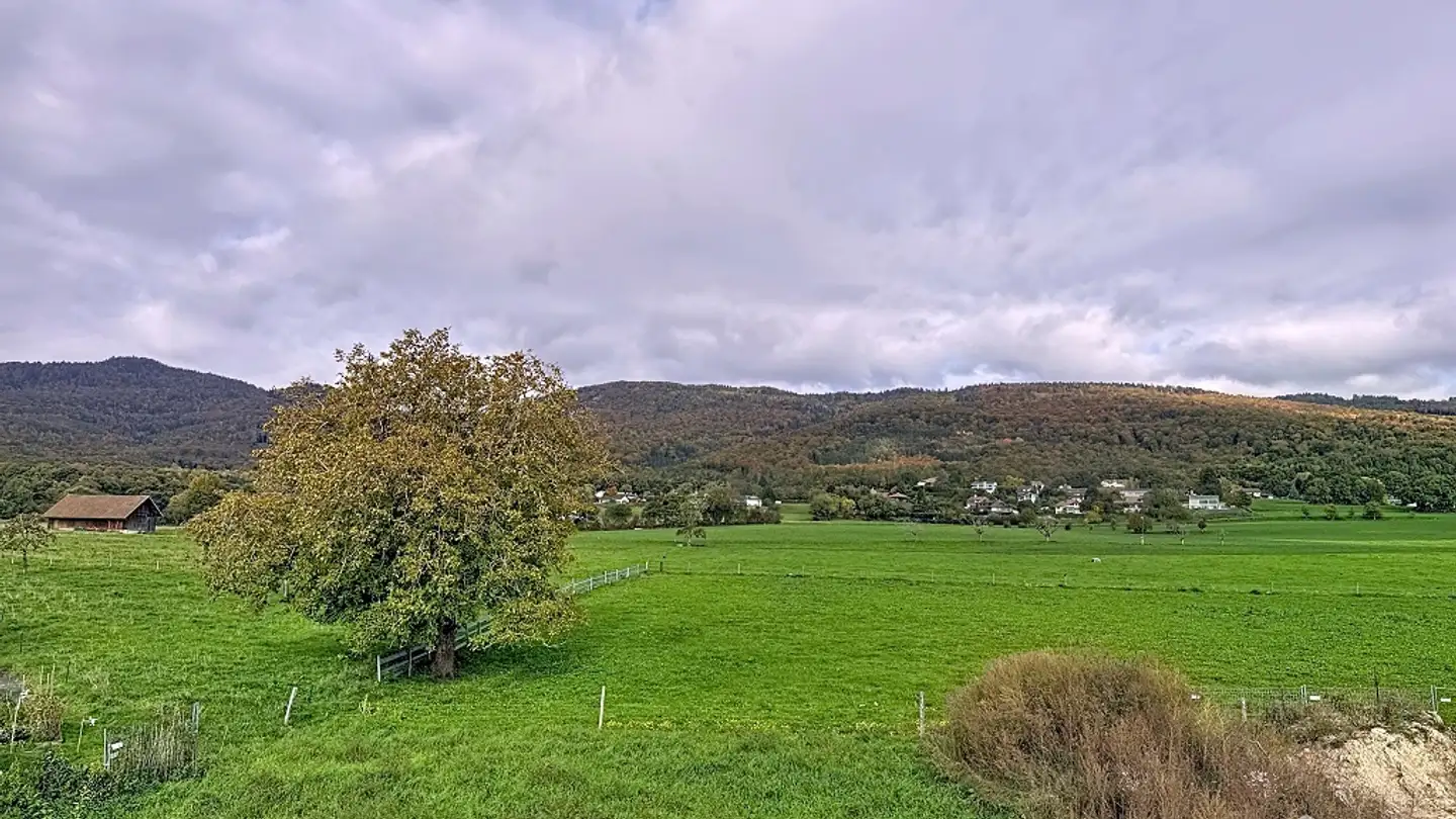 Wohnung mieten - Chemin Du Carre 8a, 1271 Givrins - Foto 3